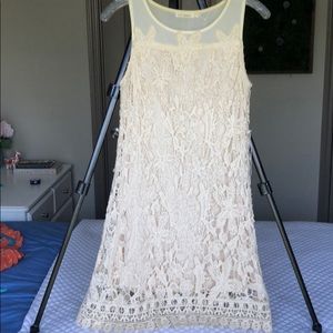 Blu pepper cream lace dress